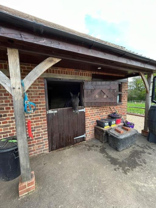 The Stable, Grove End Farm Apartment Петуърт Екстериор снимка